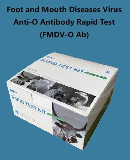 Teste rápido de anticorpos contra FMDV-O