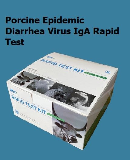 Teste rápido de IgA para vírus da diarréia epidêmica suína (PEDV-IgA)